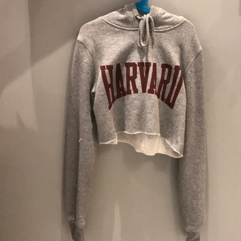 Grey cropped Harvard sweatshirt